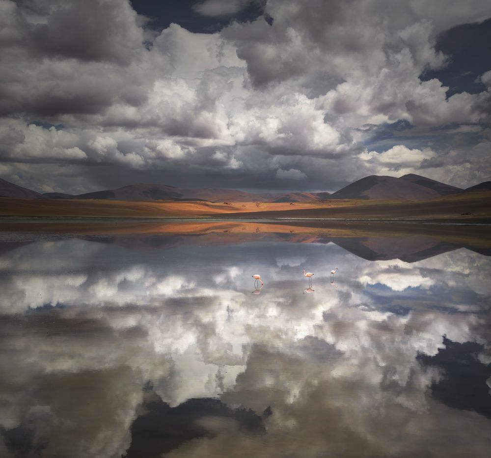 Photograph by Екатерина Сысоева