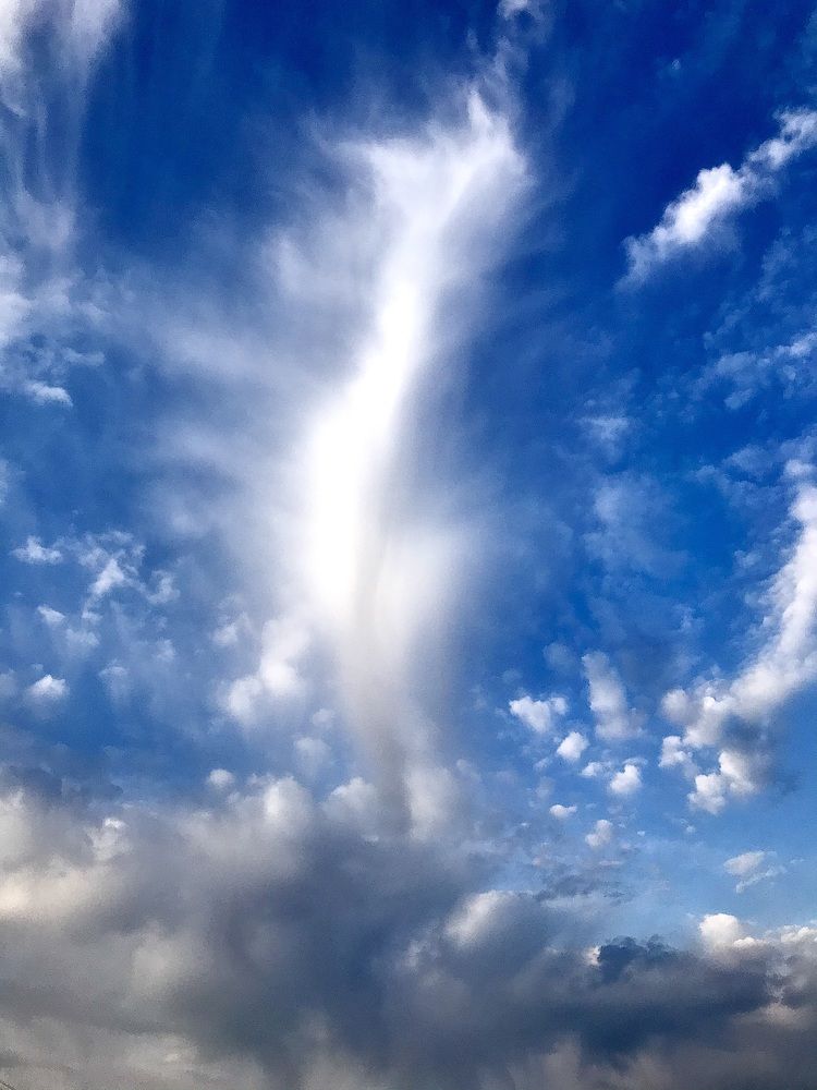 Photograph by Михаил Некрасов