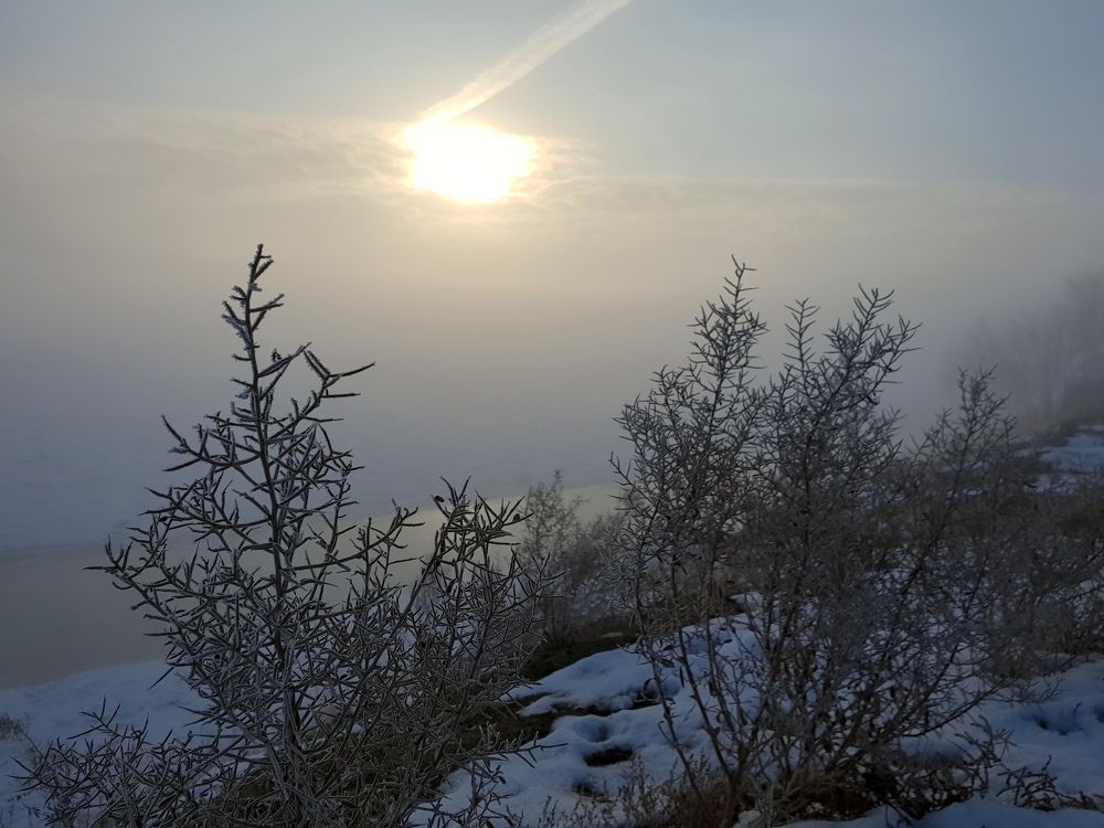 Зимнее утро на реке