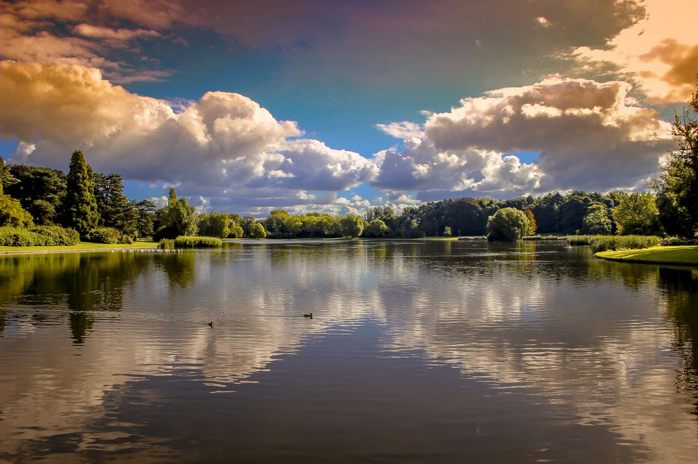 Reflection of the Day