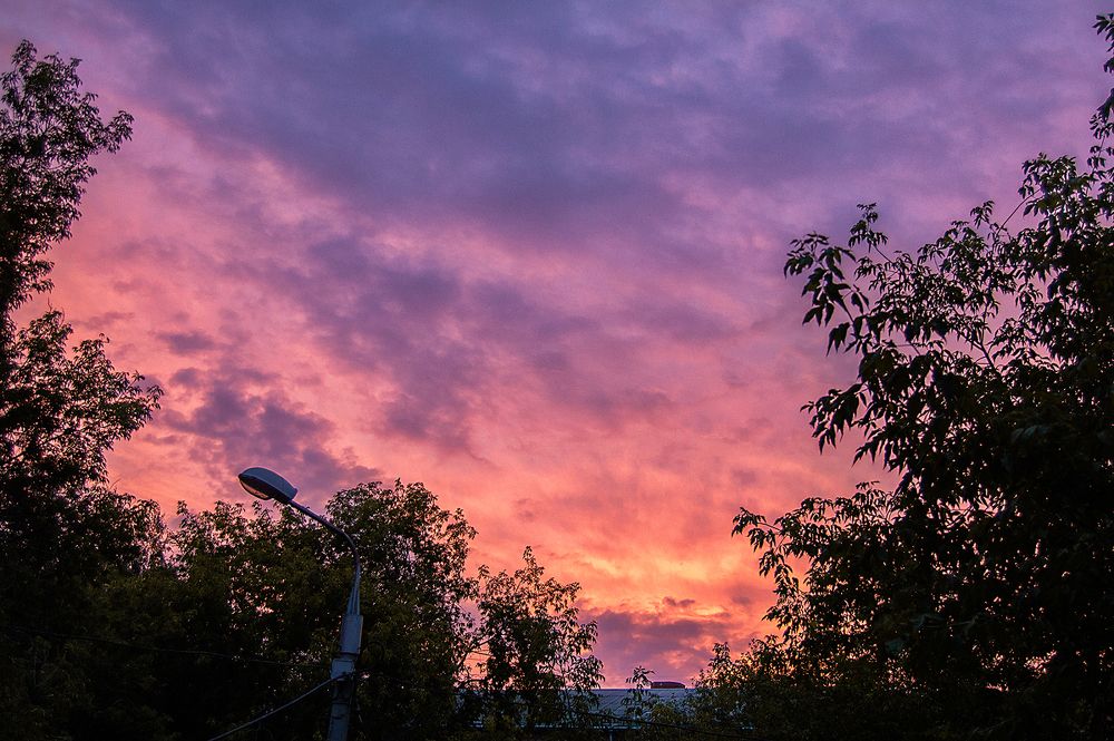 Photograph by Маргарита Гасец