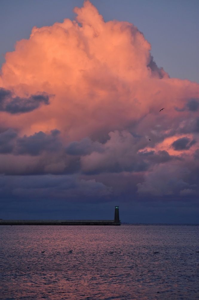 Photograph by Mariia Kamenska