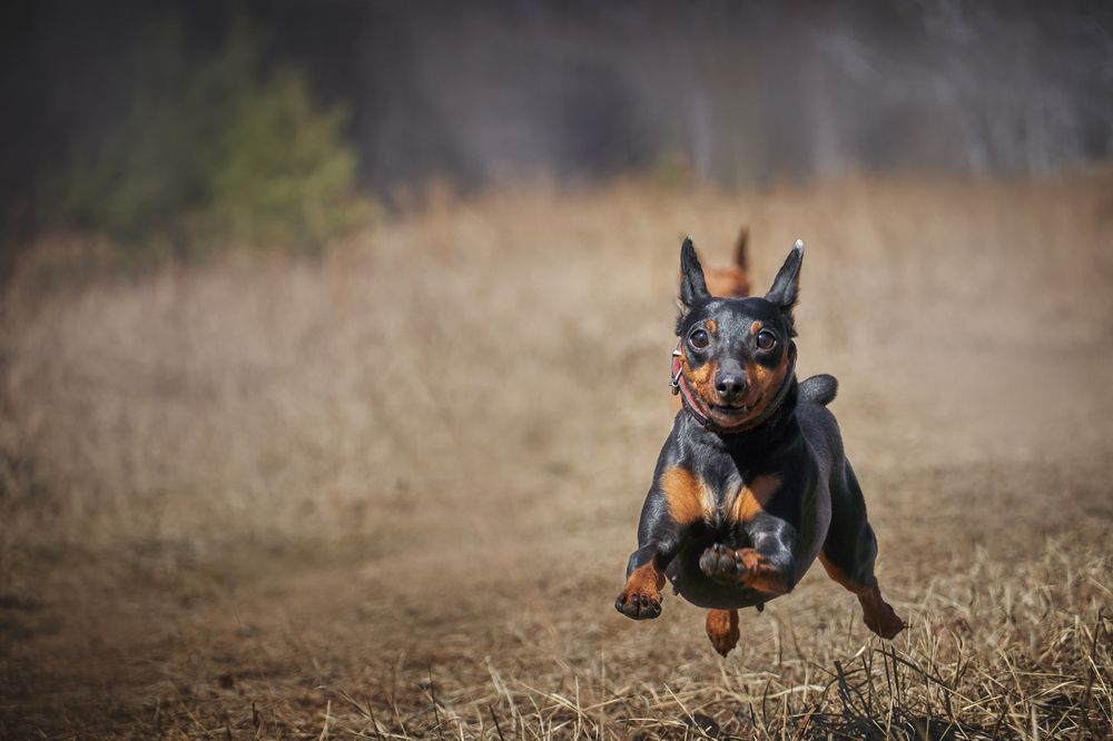 5 секунд полет нормальный