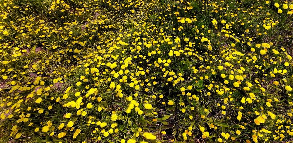 Photograph by Леонид Борисенко