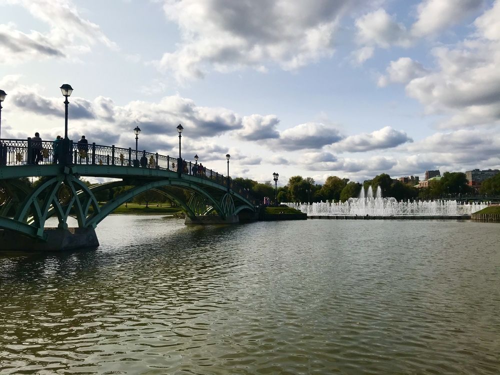 Белогривые лошадки