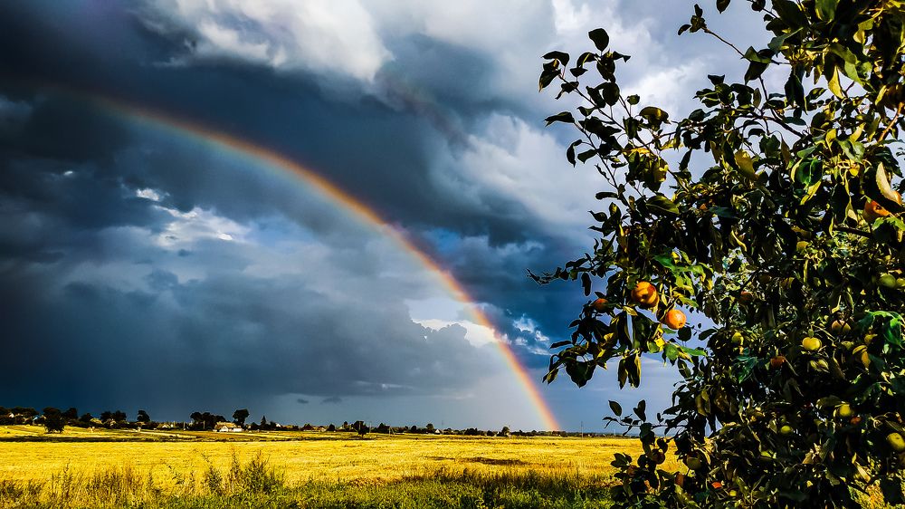 Photograph by Александр Казак