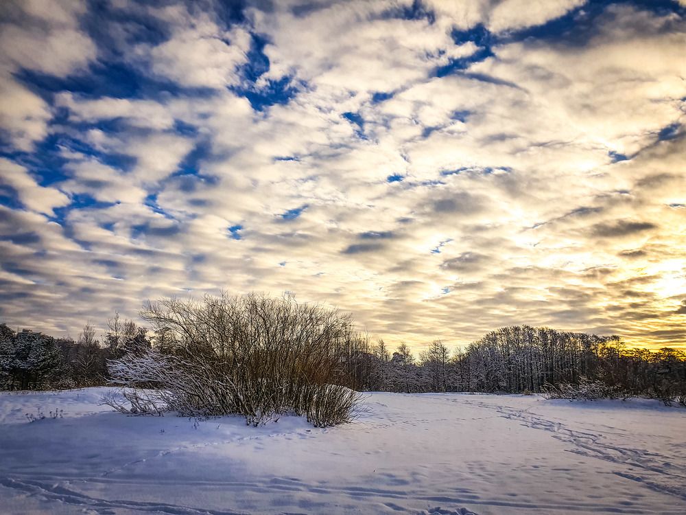 Фотография автора Inna Evseeva