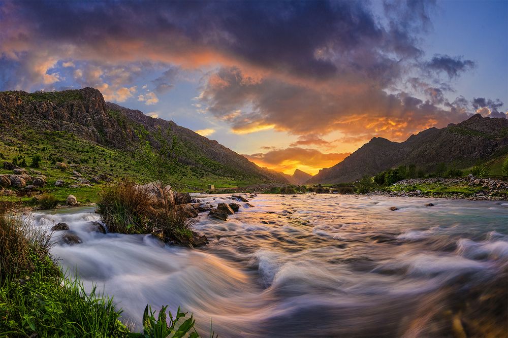 Photograph by Alireza Mohammadi