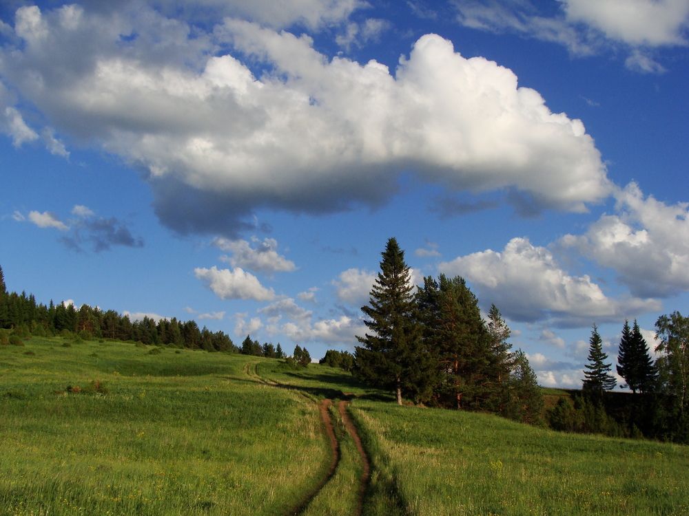 Photograph by Николай Худяков