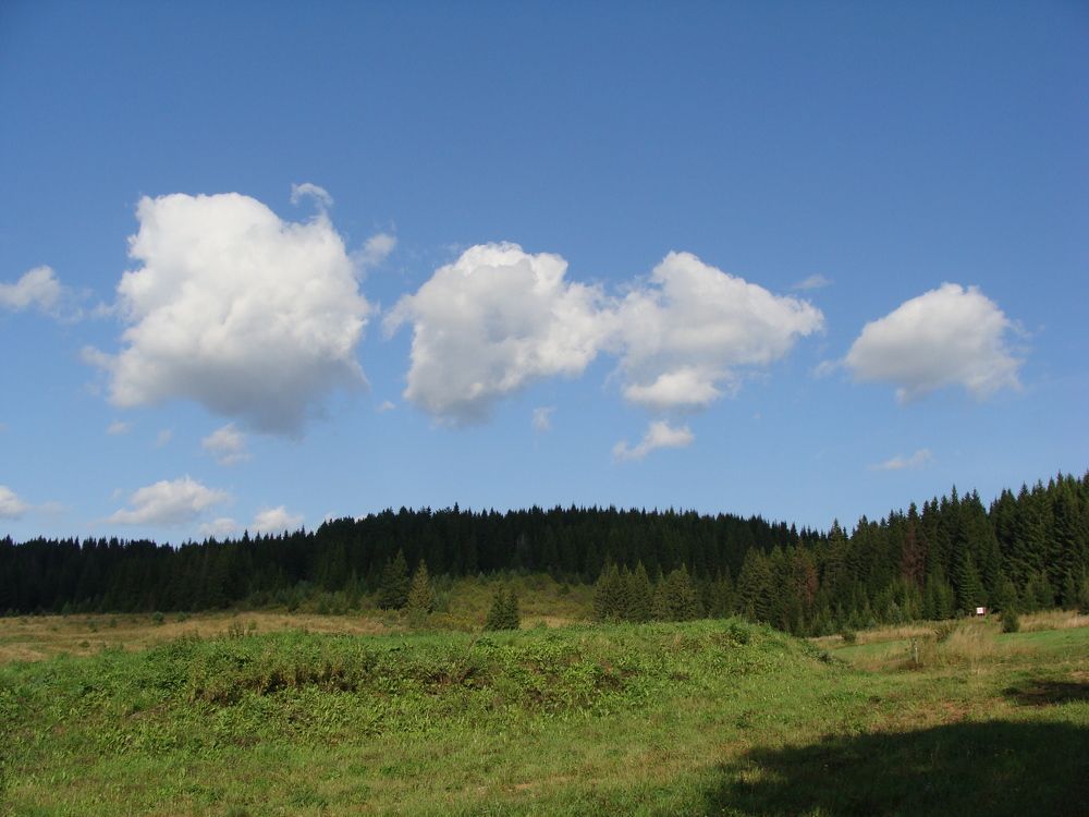 Photograph by Николай Худяков