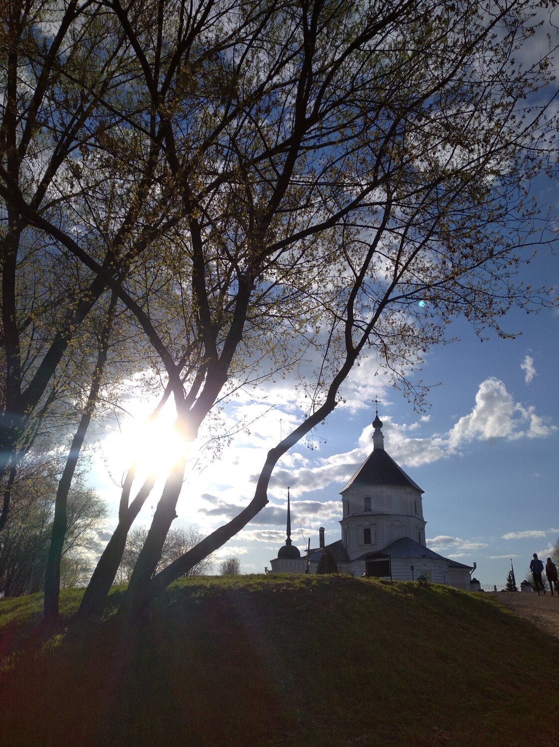 Photo #6063354
