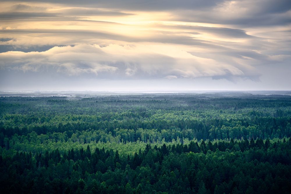 Photograph by Олег Ефремов