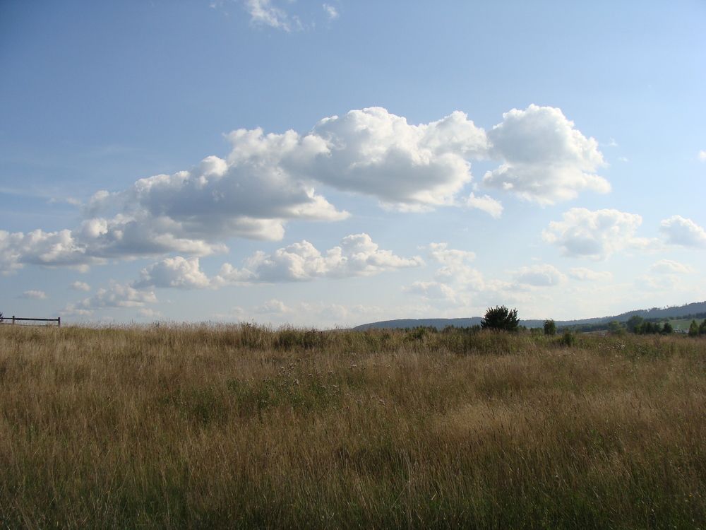 Photograph by Николай Худяков