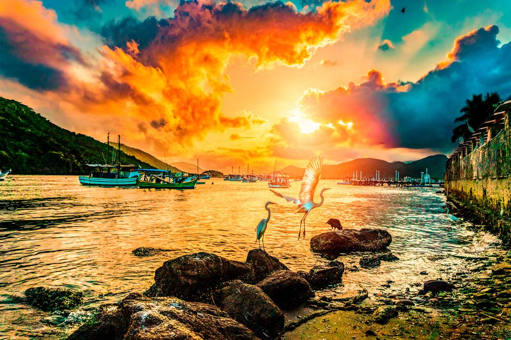 Photograph by Junior Imigrante