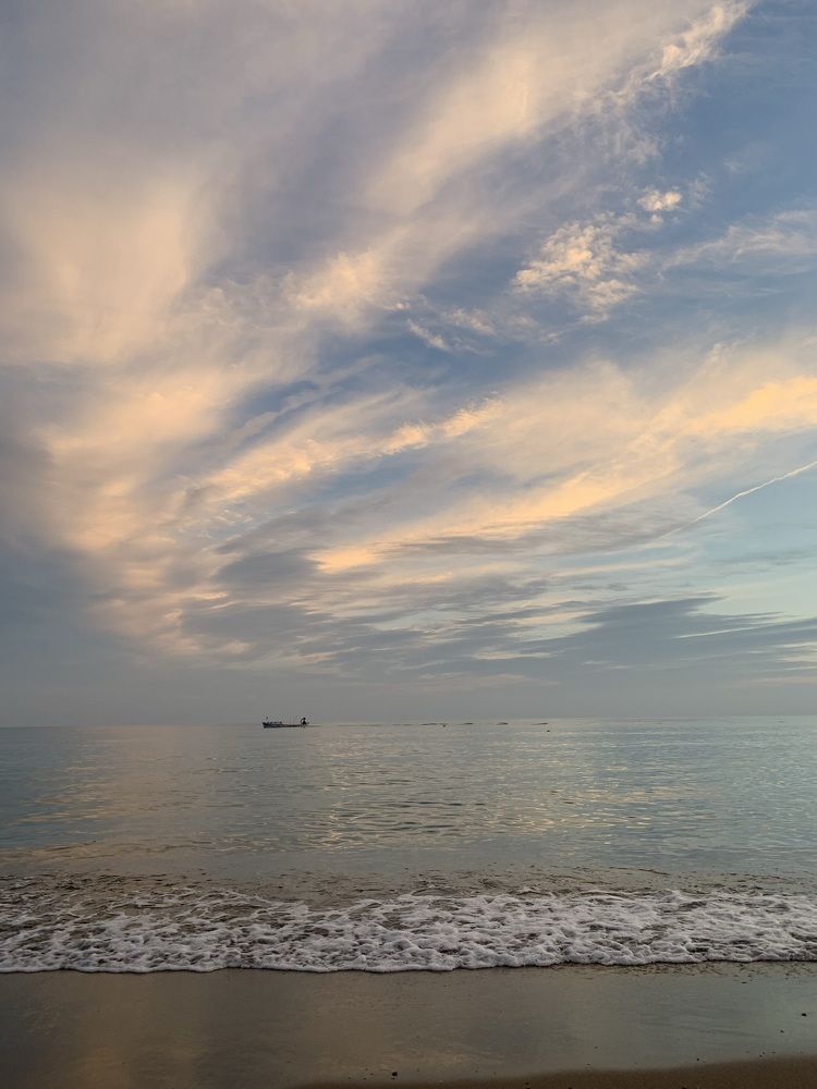 Photograph by Anna Yildiz