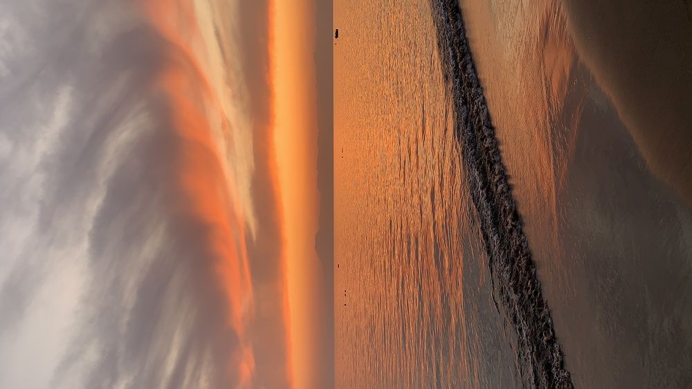 Photograph by Anna Yildiz