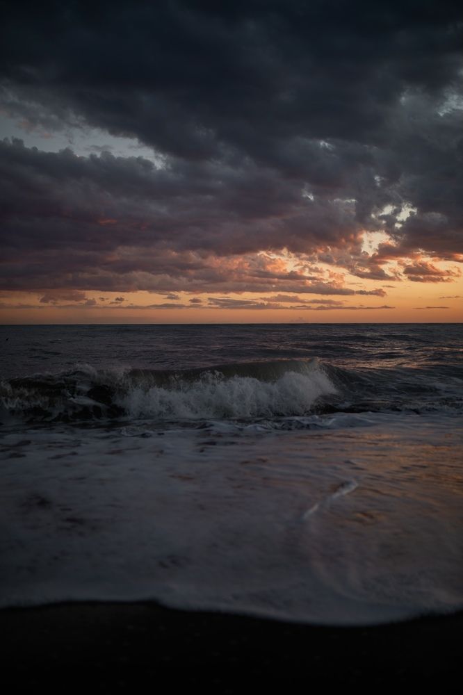 Photograph by Anna Yildiz