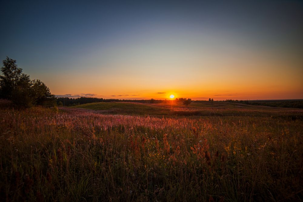 Колтушкие высоты на закате