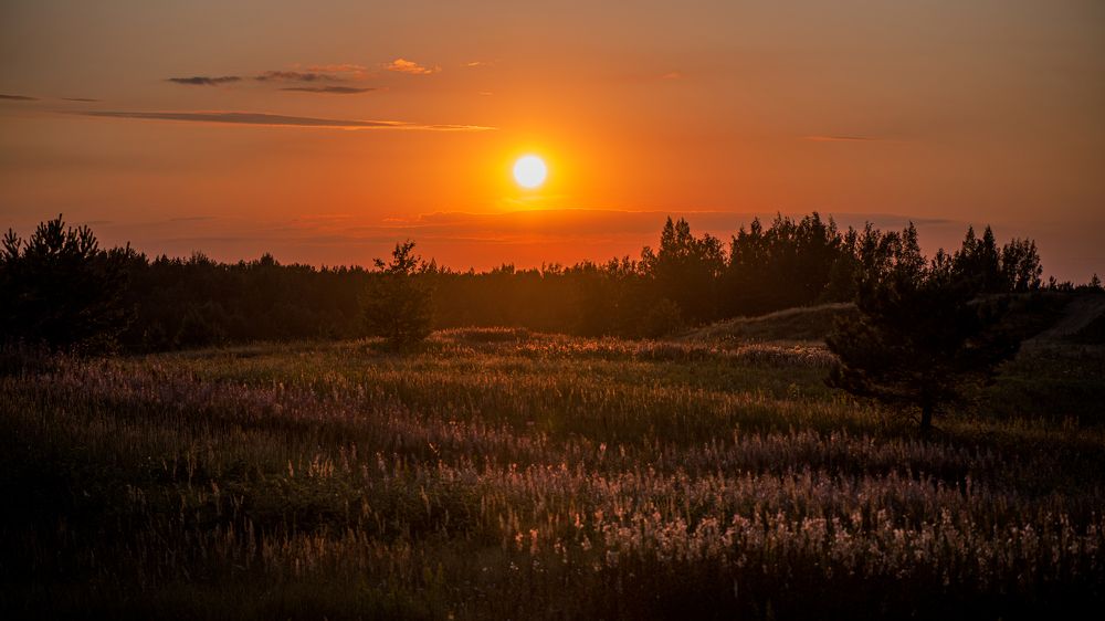 Колтушская безмятяжность