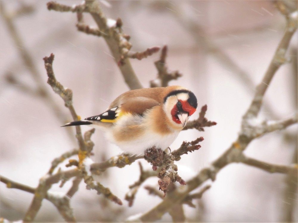 Photograph by Ирина Толмачева