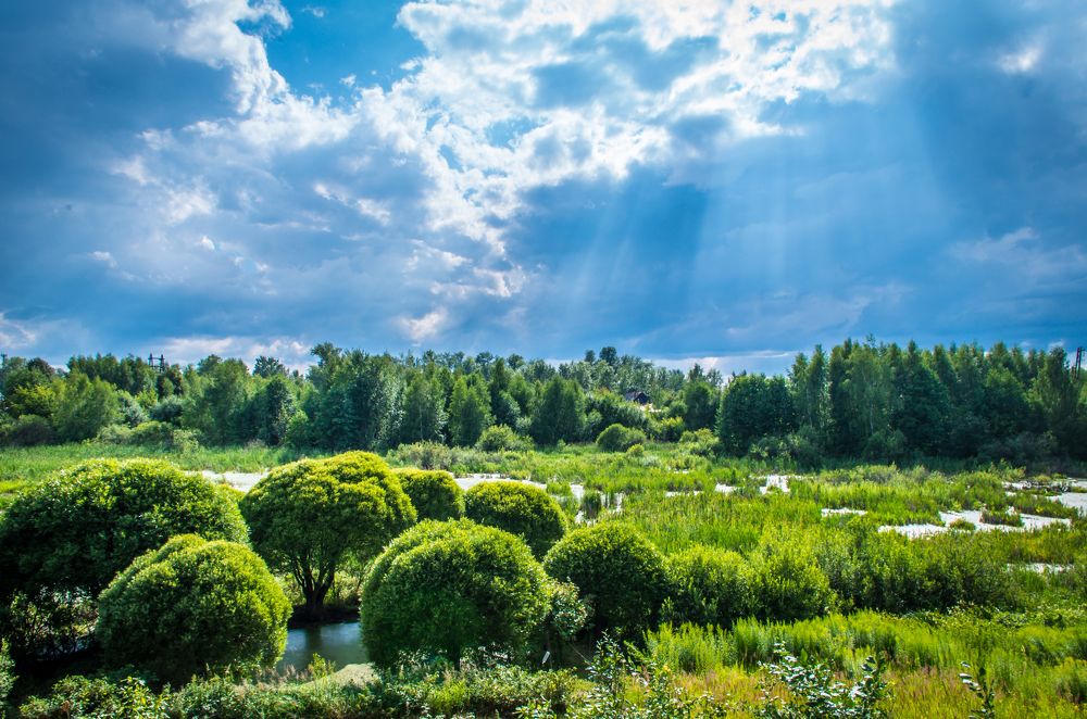 Photograph by Евгений Глазунов