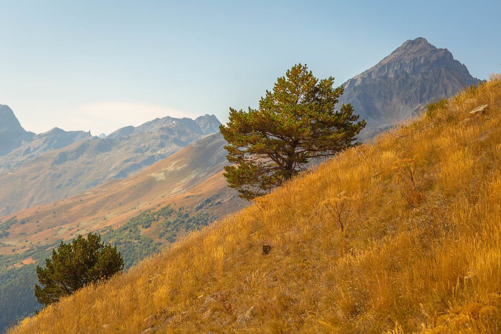 Photograph by Анатолий Климов