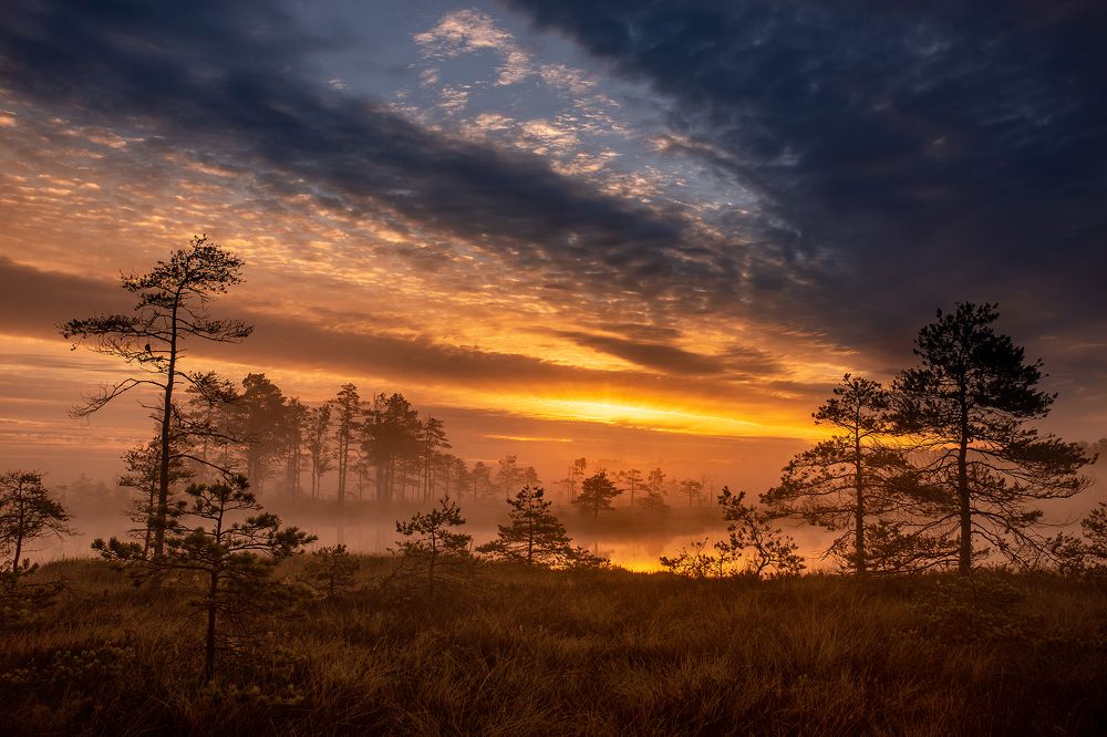 Photograph by Dace Spalviņa