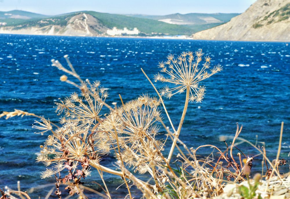 Чёрное море.