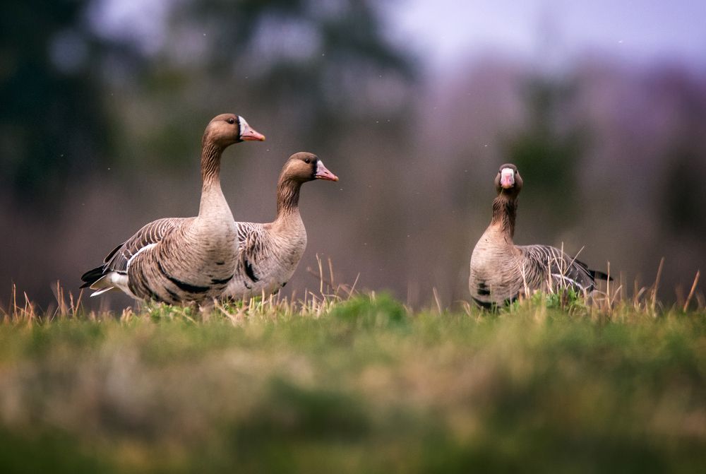 Photograph by Dace Spalviņa