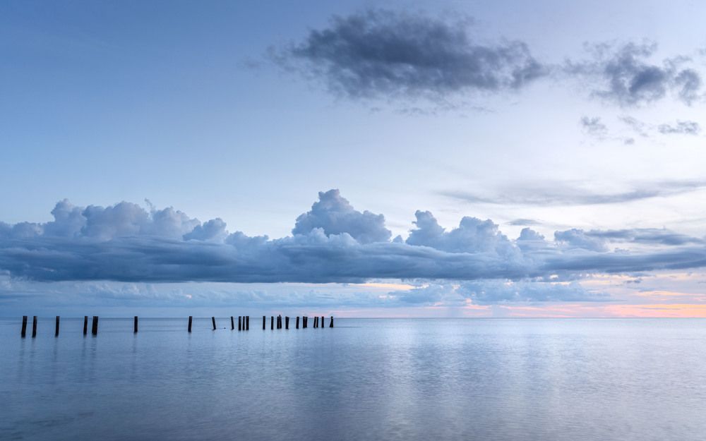 Photograph by Hilda Champion