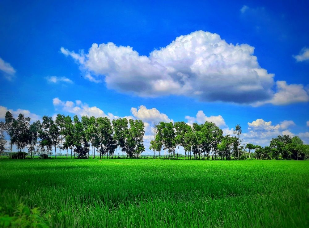 Beauty of Nature....