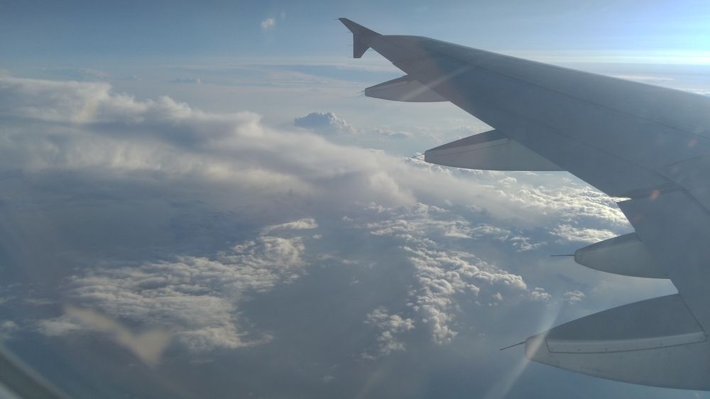 Фотография автора Danica Utjesinovic