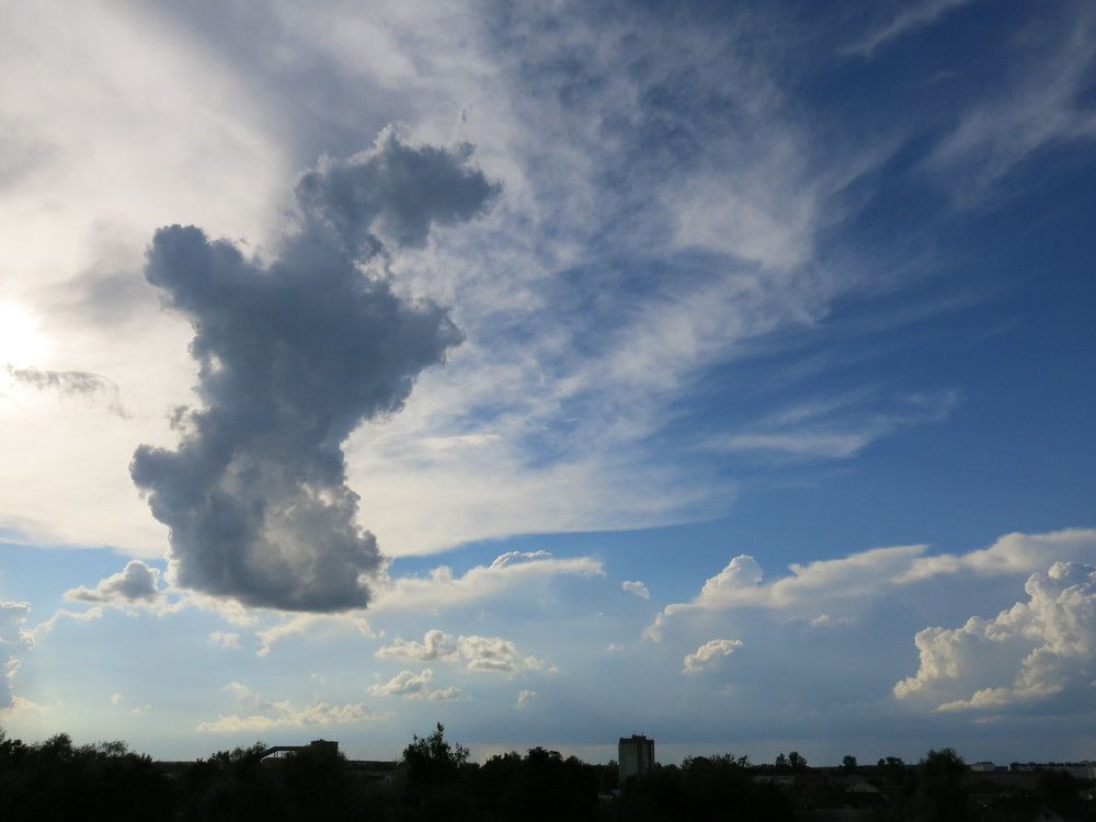 Photograph by ЭЛЬМИРА  ИСМАИЛОВА