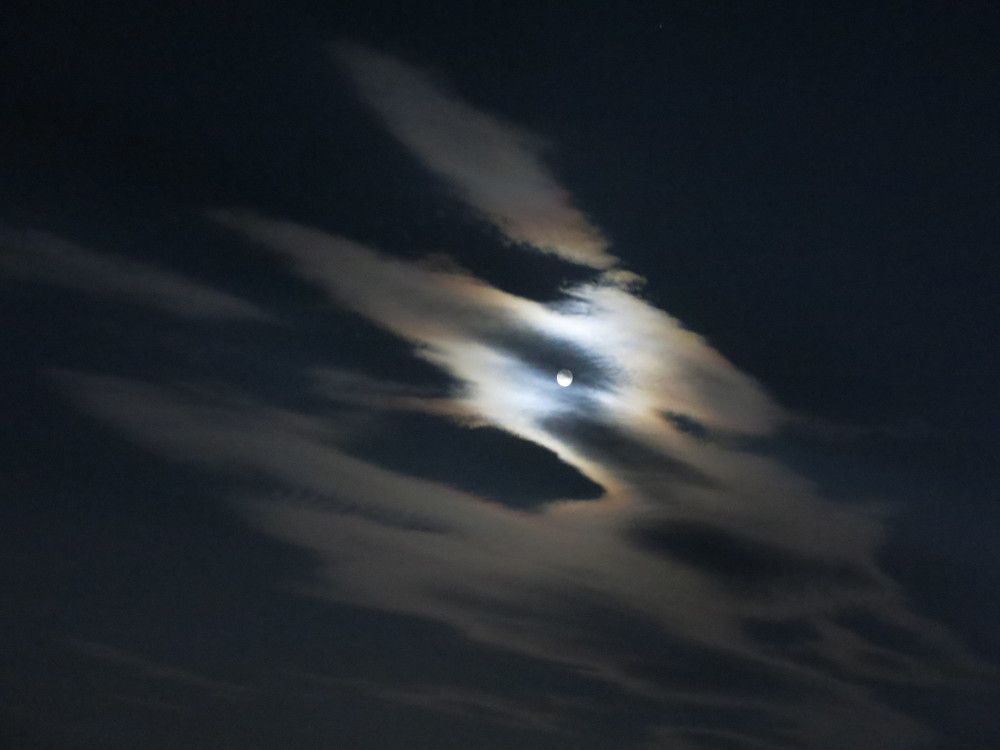 Photograph by ЭЛЬМИРА  ИСМАИЛОВА