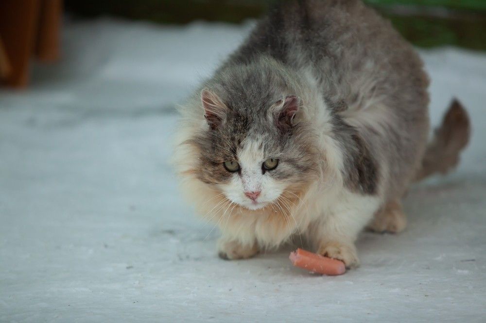 Photograph by Владимир Федин