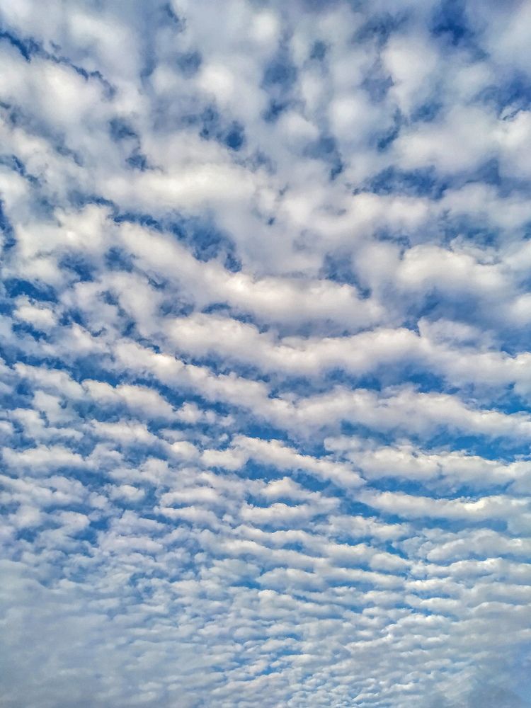 Photograph by Suparnojit Sarkar