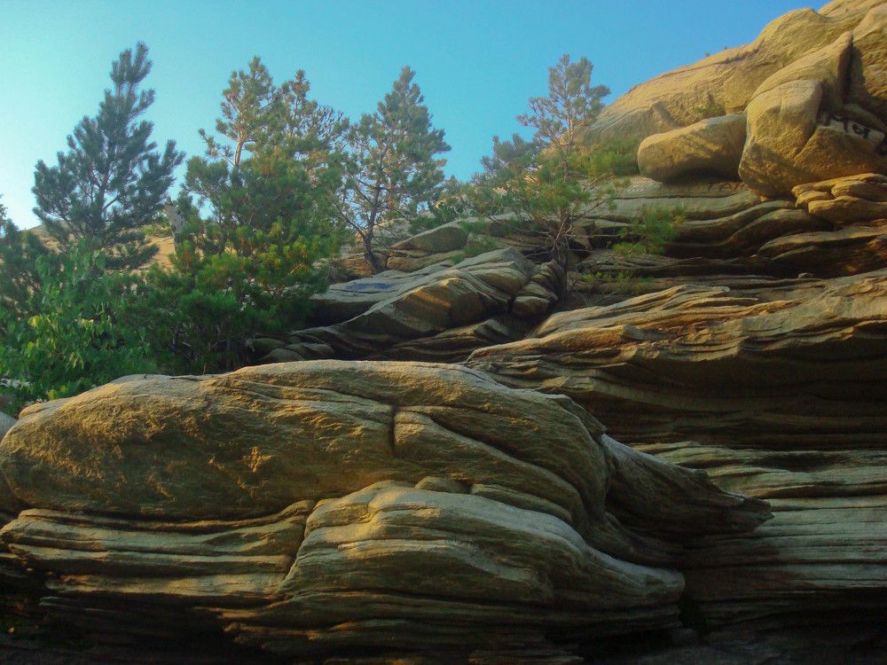 Photograph by Ольга Мокрова