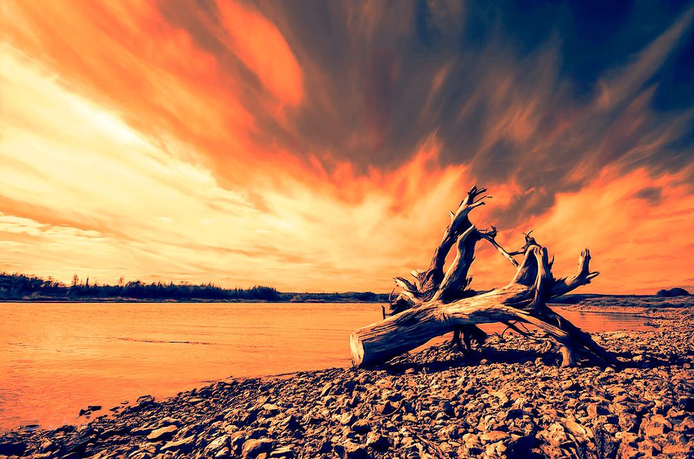 Photograph by Sergey L