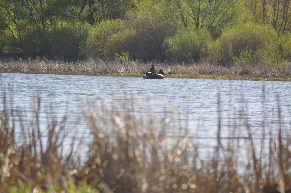 Photograph by Константин