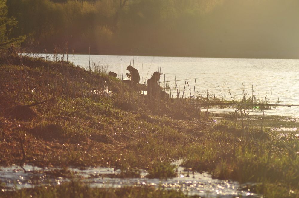 Photograph by Константин