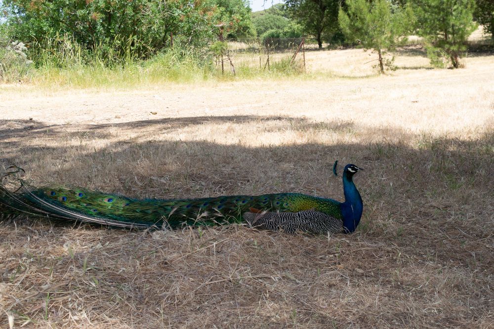 Photograph by GEORGIOS PATTAS