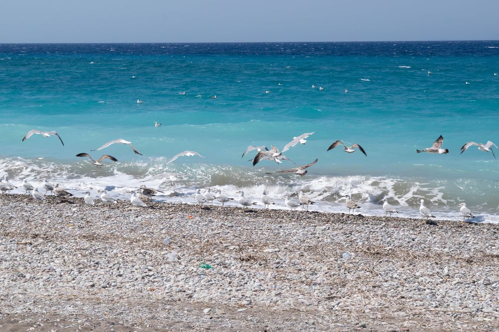 Photograph by GEORGIOS PATTAS