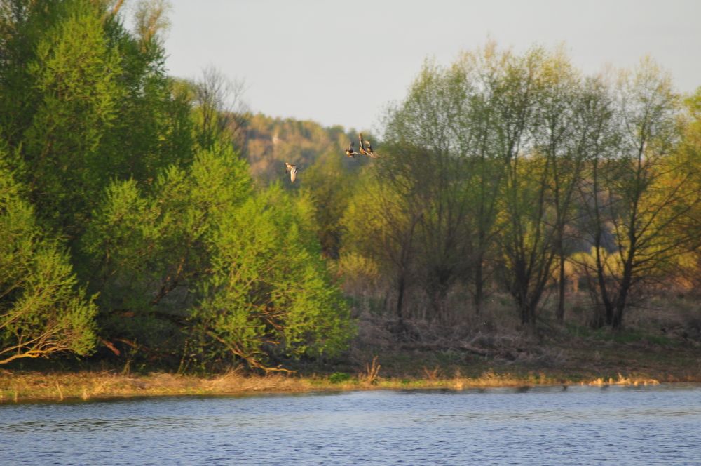 Photograph by Константин