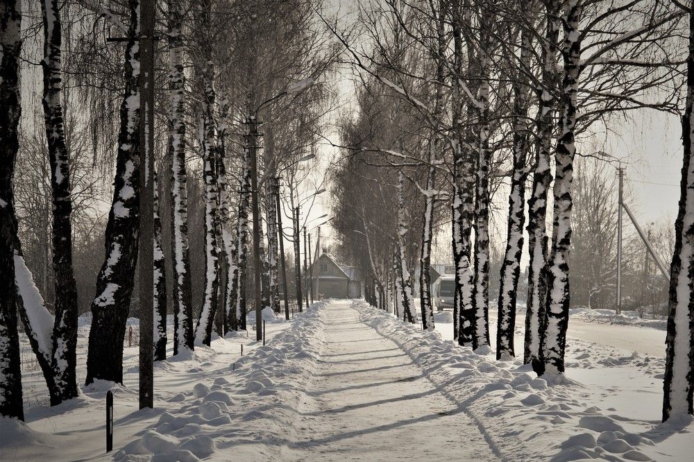 Photograph by Alvydas Baltakis