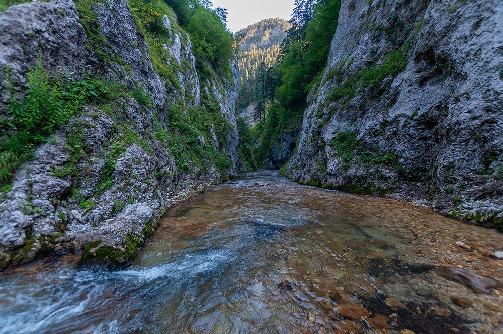Река Цице /Tsitse River