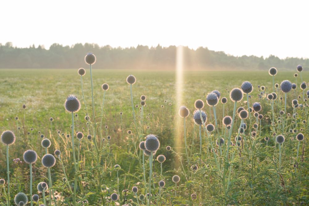 Photograph by Сергей Долгий