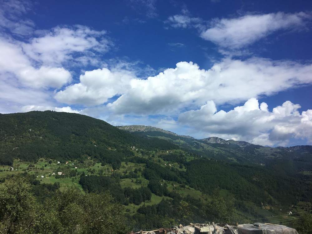 Фотография автора Арина Мясникова