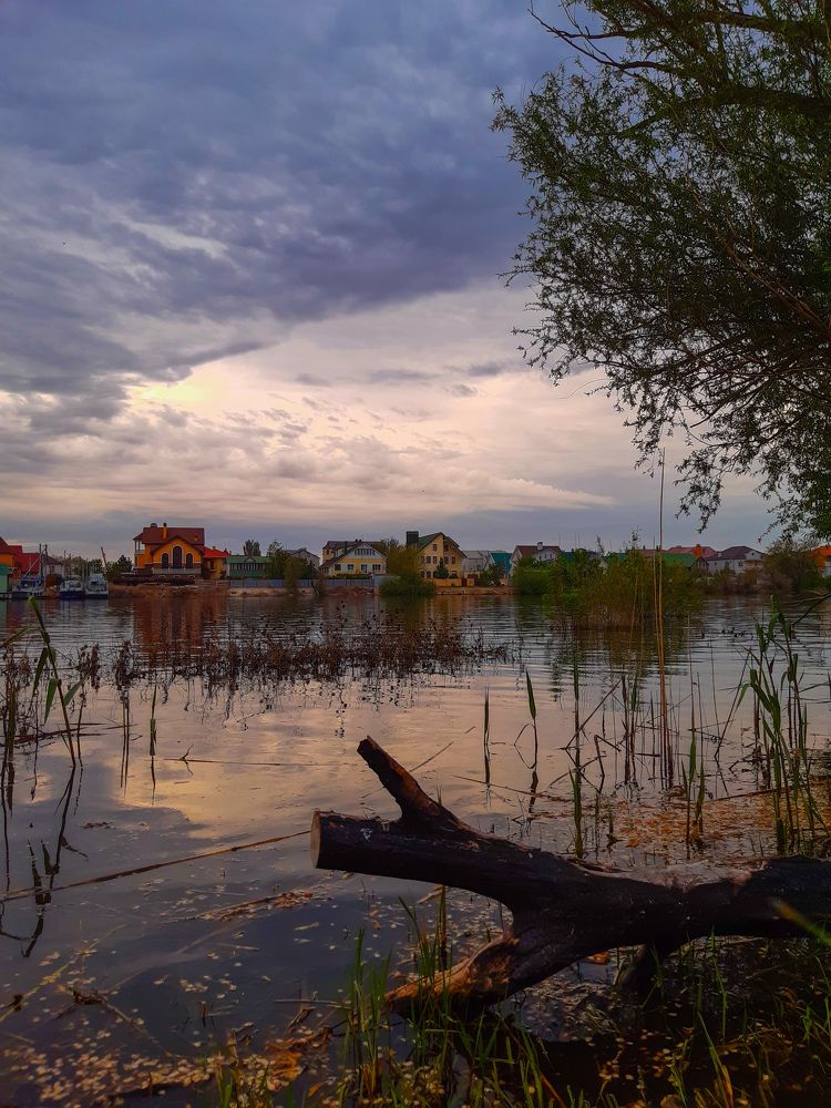 Photograph by Марина Шаповаленко