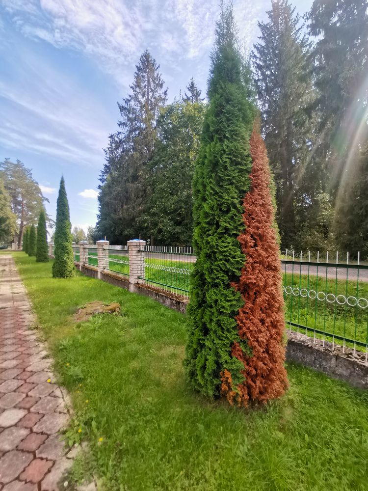 Photograph by Сергей Долгий