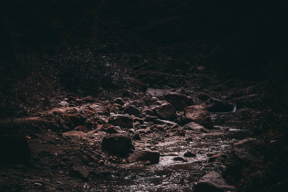 Photograph by Михаил Кручинин